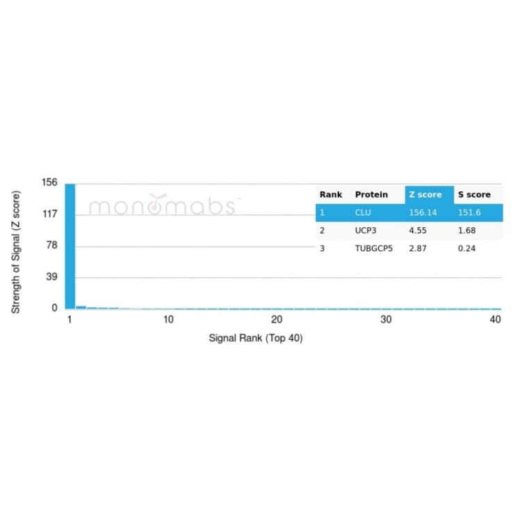 Protein Array - Anti-Clusterin Antibody [CLU/4727] - BSA and Azide free (A278139) - Antibodies.com