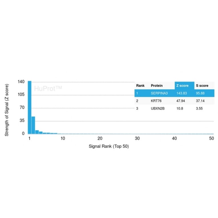 Protein Array - Anti-alpha 1 Antichymotrypsin Antibody [SERPINA3/4189] - BSA and Azide free (A278146) - Antibodies.com