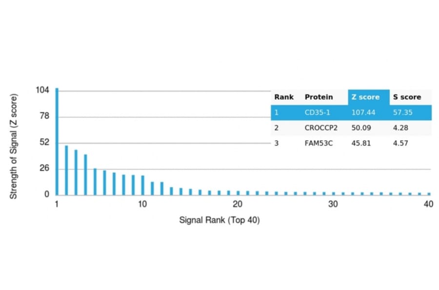 Protein Array - Anti-CD35 Antibody [CR1/6385] - BSA and Azide free (A278150) - Antibodies.com