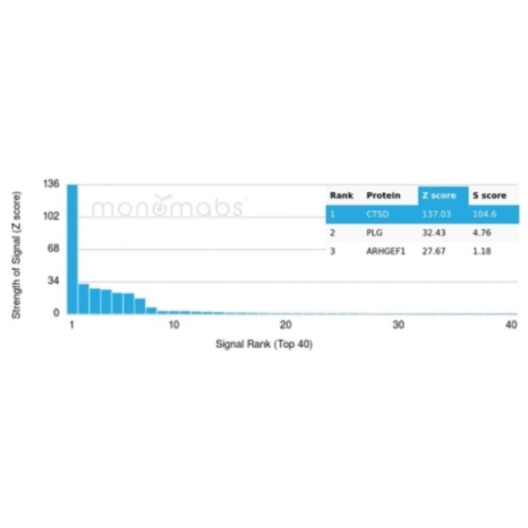 Protein Array - Anti-Cathepsin D Antibody [CTSD/4497] - BSA and Azide free (A278157) - Antibodies.com