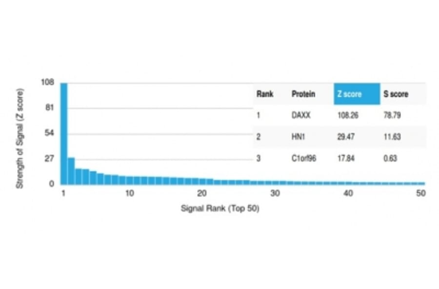 Protein Array - Anti-DAXX Antibody [PCRP-DAXX-5G11] - BSA and Azide free (A278159) - Antibodies.com