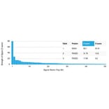 Protein Array - Anti-DAXX Antibody [PCRP-DAXX-6A8] - BSA and Azide free (A278160) - Antibodies.com