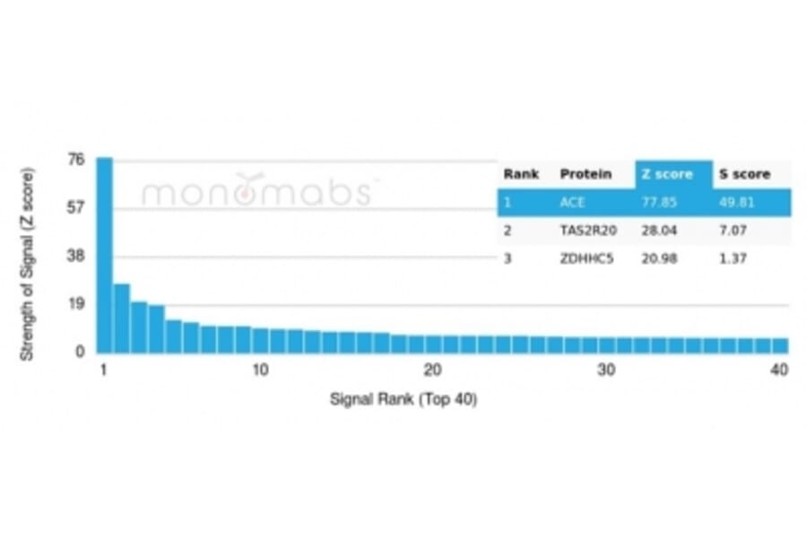 Protein Array - Anti-Angiotensin Converting Enzyme 1 Antibody [ACE/3764] - BSA and Azide free (A278162) - Antibodies.com