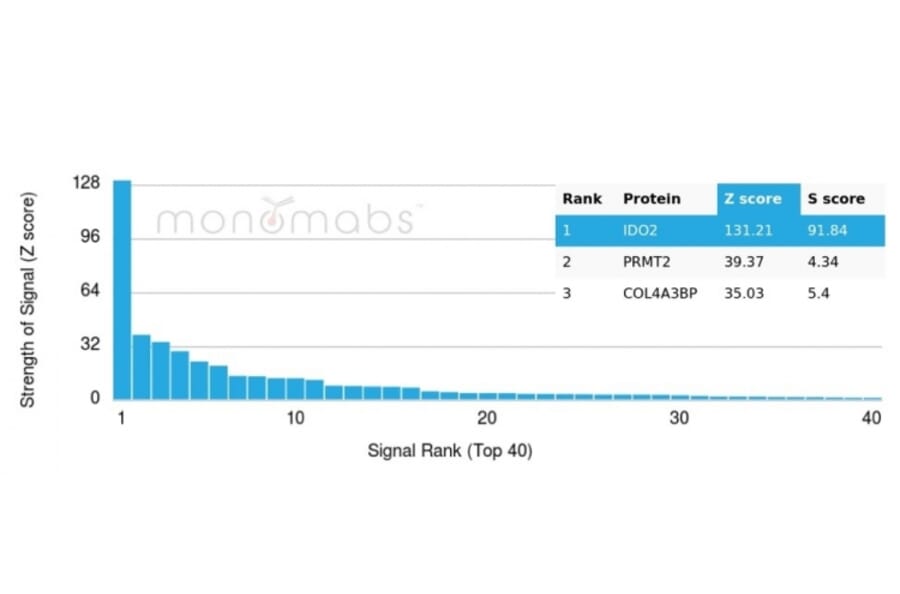 Protein Array - Anti-IDO2 Antibody [IDO2/2638] - BSA and Azide free (A278164) - Antibodies.com