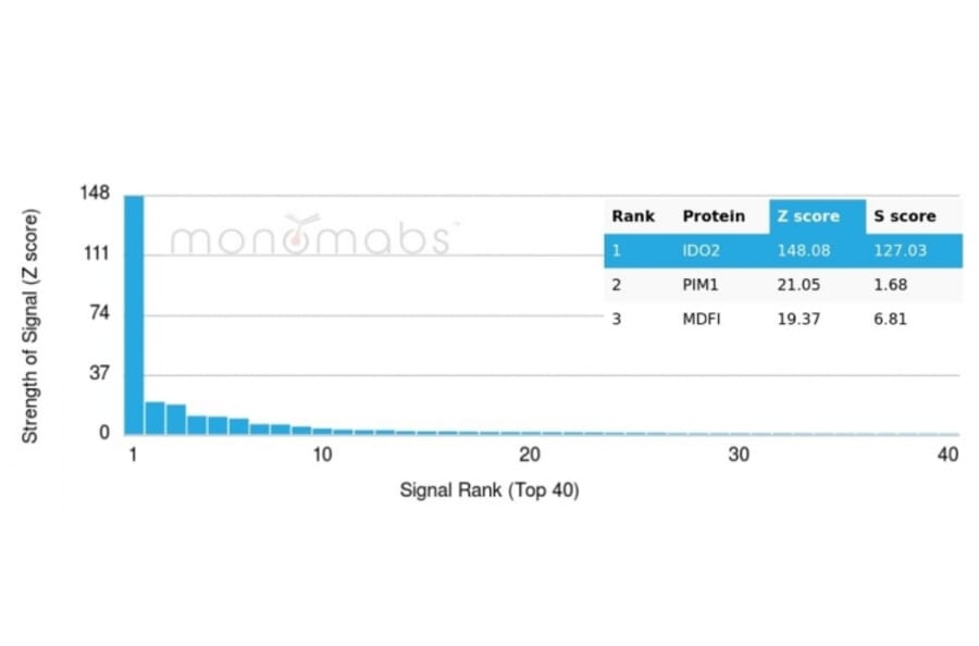 Protein Array - Anti-IDO2 Antibody [IDO2/2639] - BSA and Azide free (A278165) - Antibodies.com