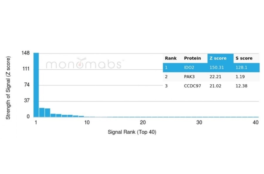 Protein Array - Anti-IDO2 Antibody [IDO2/2640] - BSA and Azide free (A278166) - Antibodies.com