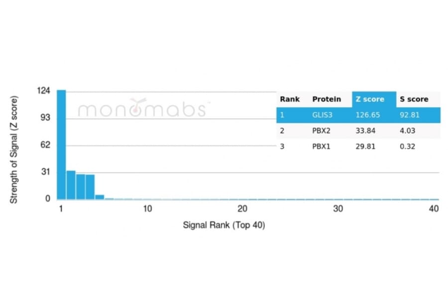 Protein Array - Anti-GLIS3 Antibody [PCRP-GLIS3-1B11] - BSA and Azide free (A278167) - Antibodies.com
