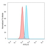 Flow Cytometry - Anti-ETS2 Antibody [PCRP-ETS2-1D9] - BSA and Azide free (A278173) - Antibodies.com