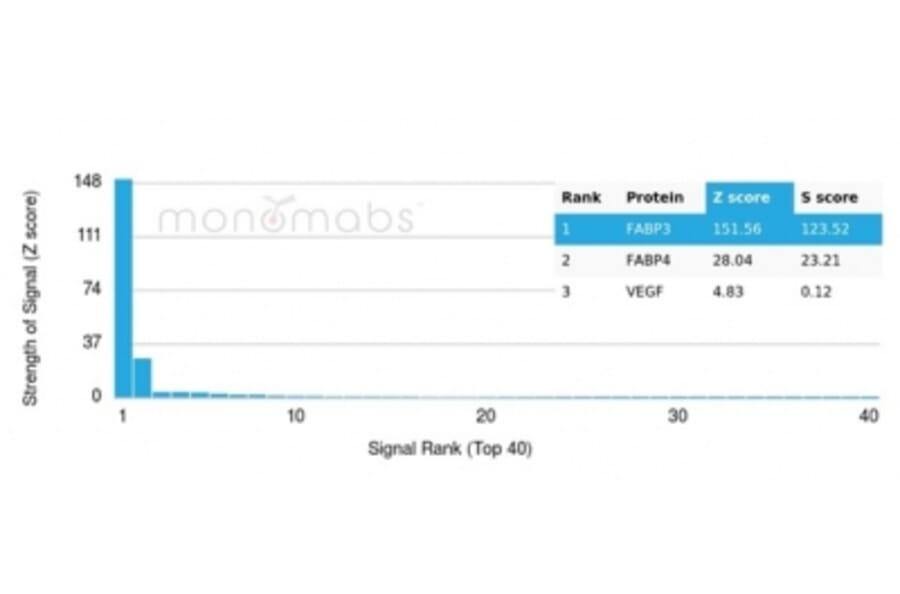 Protein Array - Anti-FABP4 Antibody [FABP4/4429] - BSA and Azide free (A278178) - Antibodies.com