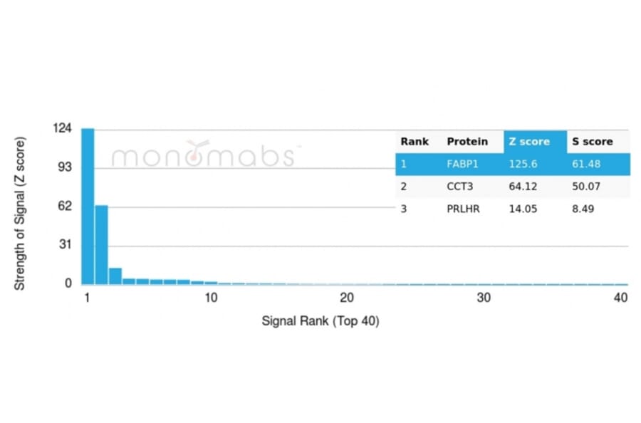 Protein Array - Anti-FABP1 Antibody [FABP1/3940] - BSA and Azide free (A278179) - Antibodies.com