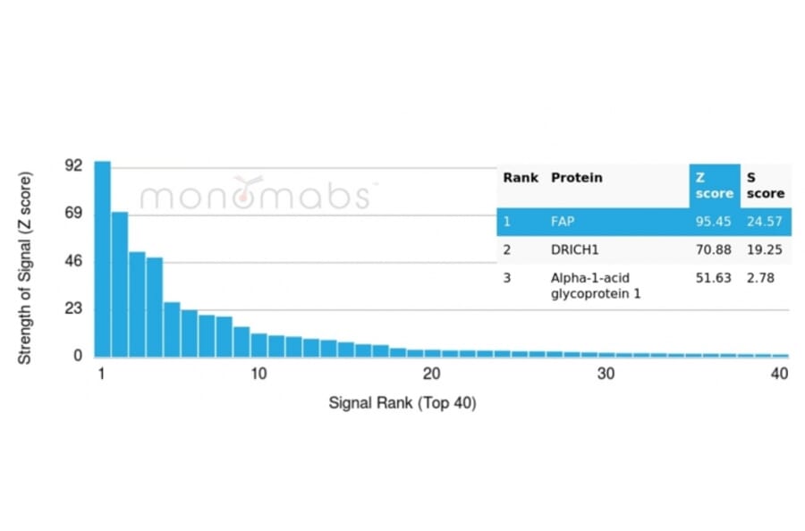 Protein Array - Anti-Fibroblast Activation Protein alpha Antibody [FAP/4851] - BSA and Azide free (A278182) - Antibodies.com