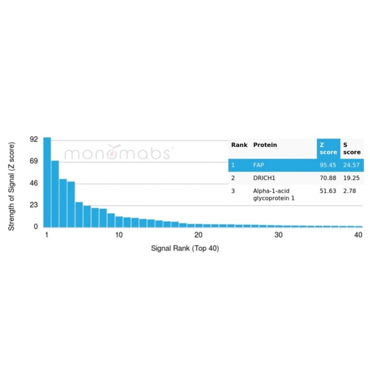 Protein Array - Anti-Fibroblast Activation Protein alpha Antibody [FAP/4851] - BSA and Azide free (A278182) - Antibodies.com