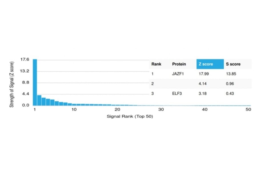 Protein Array - Anti-JAZF1 Antibody [PCRP-JAZF1-1C2] - BSA and Azide free (A278192) - Antibodies.com