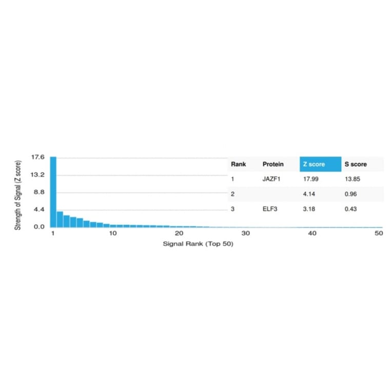 Protein Array - Anti-JAZF1 Antibody [PCRP-JAZF1-1C2] - BSA and Azide free (A278192) - Antibodies.com