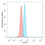 Flow Cytometry - Anti-FOXL1 Antibody [PCRP-FOXL1-1F8] - BSA and Azide free (A278193) - Antibodies.com