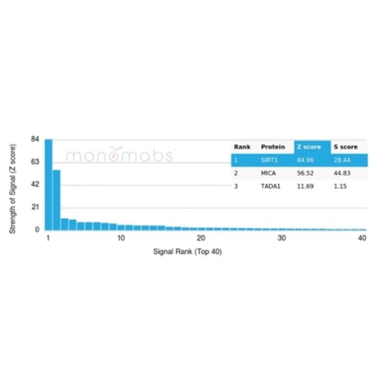 Protein Array - Anti-SIRT1 Antibody [PCRP-SIRT1-1E11] - BSA and Azide free (A278204) - Antibodies.com