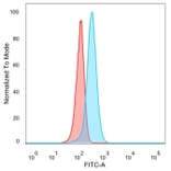 Flow Cytometry - Anti-FOXB1 Antibody [PCRP-FOXB1-1B7] - BSA and Azide free (A278218) - Antibodies.com