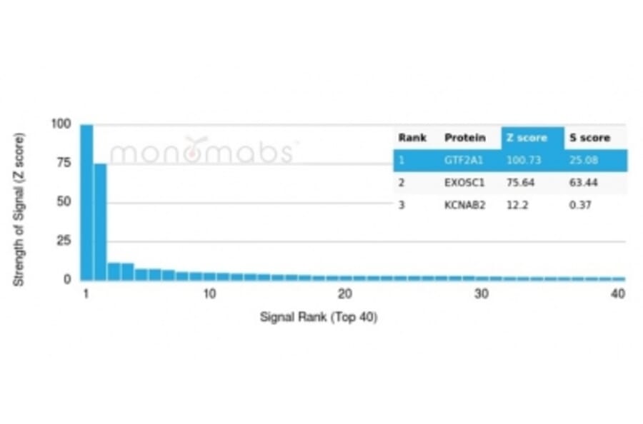 Protein Array - Anti-GTF2A1 Antibody [PCRP-GTF2A1-1F2] - BSA and Azide free (A278225) - Antibodies.com