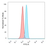 Flow Cytometry - Anti-TFIIB Antibody [PCRP-GTF2B-1D1] - BSA and Azide free (A278226) - Antibodies.com