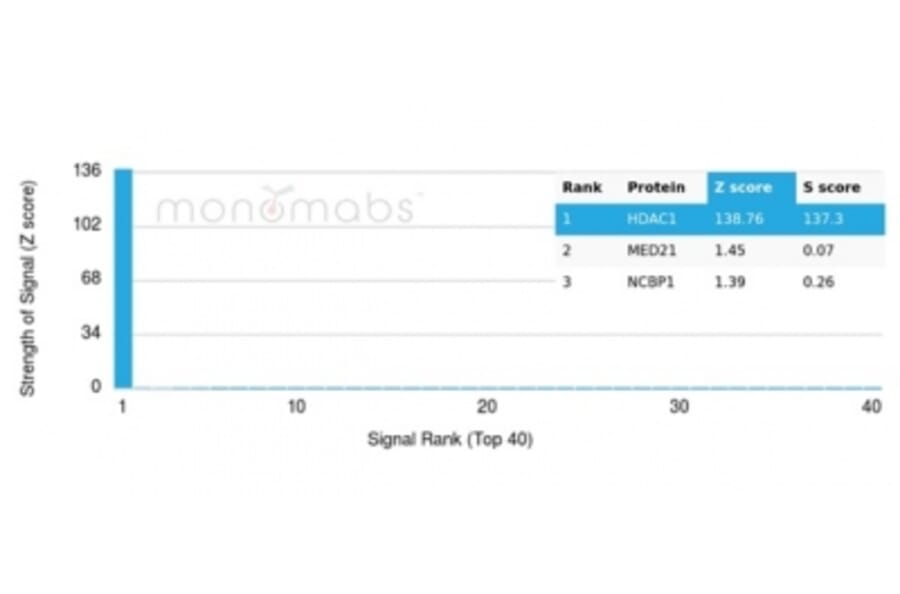 Protein Array - Anti-HDAC1 Antibody [PCRP-HDAC1-1B7] - BSA and Azide free (A278228) - Antibodies.com