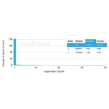 Protein Array - Anti-Haptoglobin Antibody [HP/3837] - BSA and Azide free (A278235) - Antibodies.com