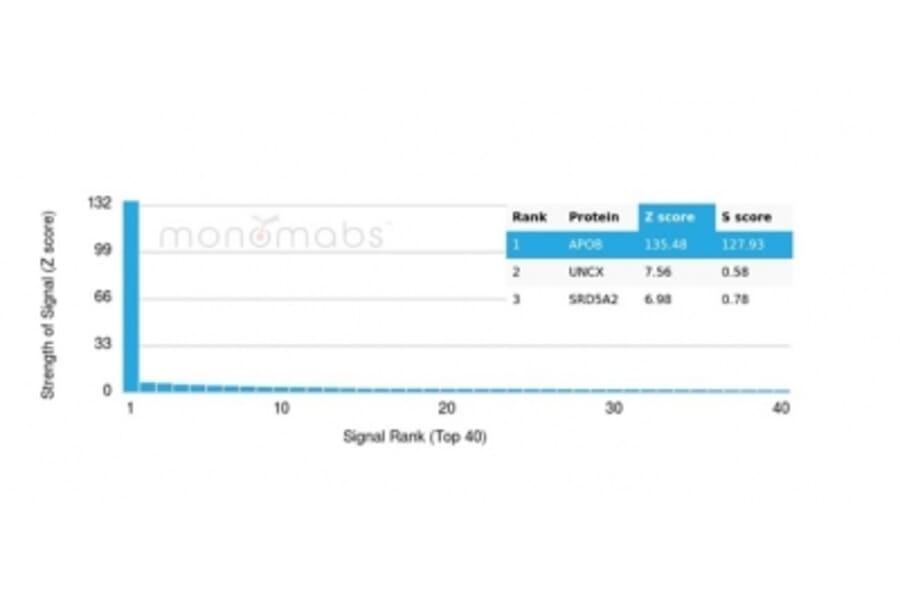 Protein Array - Anti-Apolipoprotein B Antibody [APOB/4335] - BSA and Azide free (A278238) - Antibodies.com