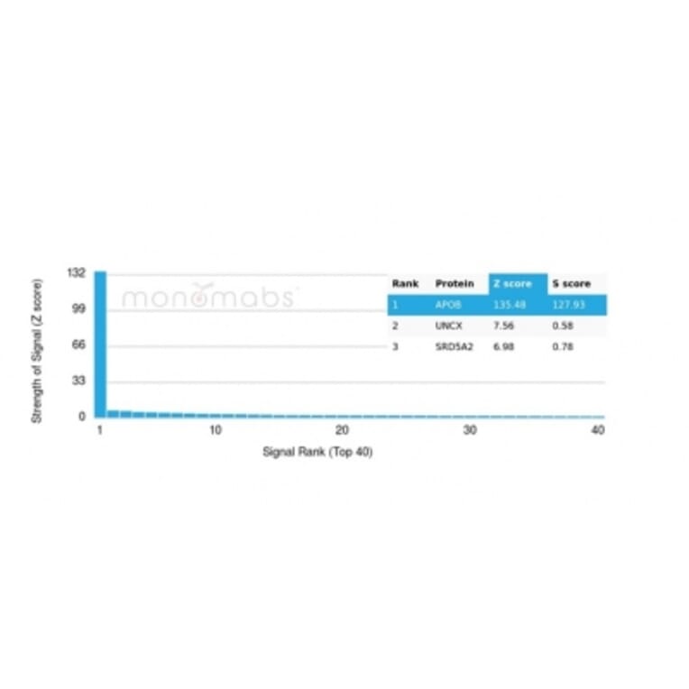 Protein Array - Anti-Apolipoprotein B Antibody [APOB/4335] - BSA and Azide free (A278238) - Antibodies.com