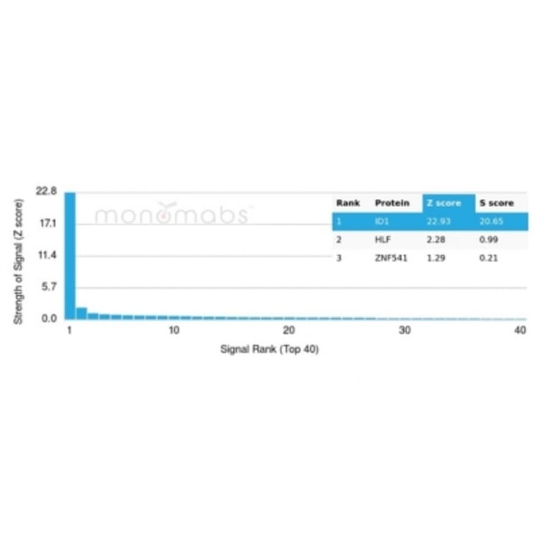 Protein Array - Anti-ID1 Antibody [PCRP-ID1-2F11] - BSA and Azide free (A278240) - Antibodies.com