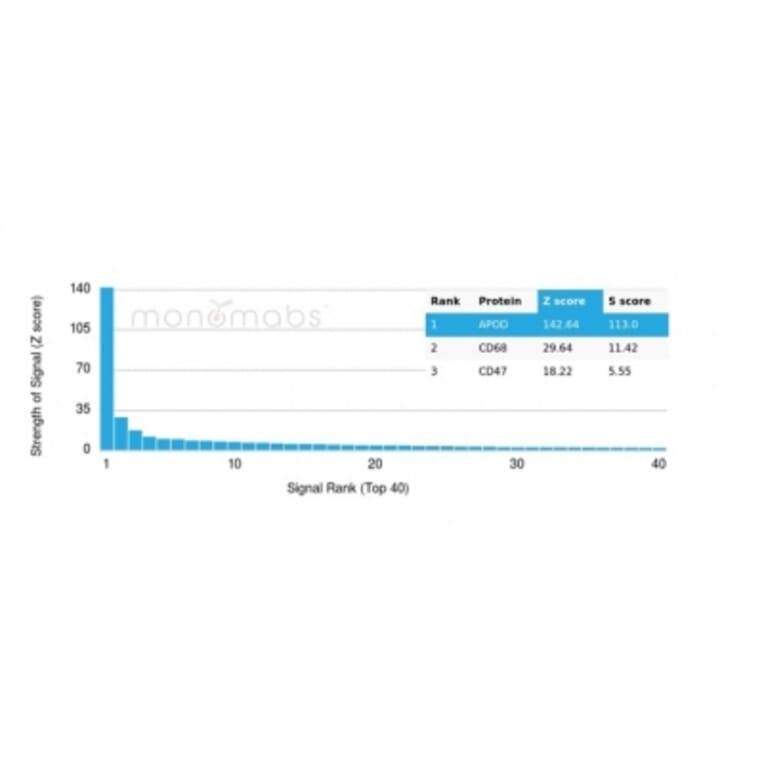 Protein Array - Anti-Apolipoprotein D Antibody [APOD/3413] - BSA and Azide free (A278242) - Antibodies.com
