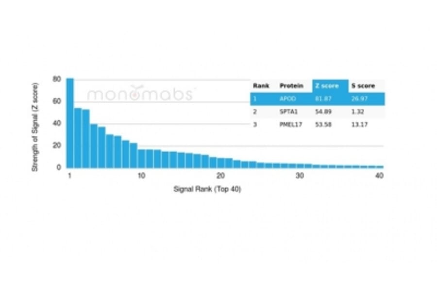 Protein Array - Anti-Apolipoprotein D Antibody [APOD/3415] - BSA and Azide free (A278243) - Antibodies.com