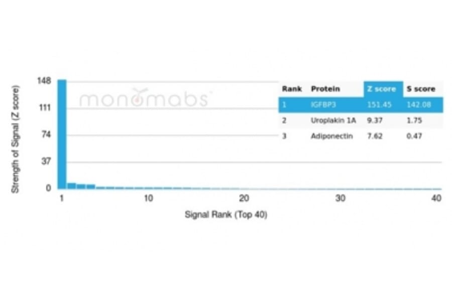 Protein Array - Anti-IGFBP3 Antibody [IGFBP3/3424] - BSA and Azide free (A278248) - Antibodies.com