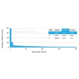 Protein Array - Anti-IGFBP3 Antibody [IGFBP3/3517] - BSA and Azide free (A278249) - Antibodies.com