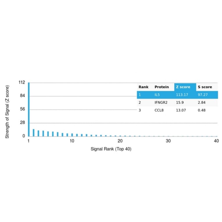 Protein Array - Anti-IL-5 Antibody [IL5/4161] - BSA and Azide free (A278259) - Antibodies.com