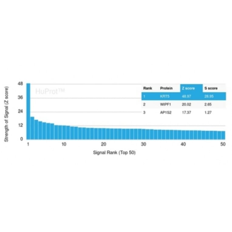 Protein Array - Anti-Cytokeratin 5 Antibody [KRT5/6466] - BSA and Azide free (A278269) - Antibodies.com