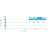 Protein Array - Anti-Cytokeratin 14 Antibody [KRT14/4125] - BSA and Azide free (A278274) - Antibodies.com