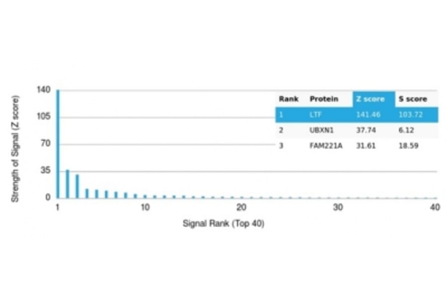 Protein Array - Anti-Lactoferrin Antibody [LTF/4082] - BSA and Azide free (A278281) - Antibodies.com