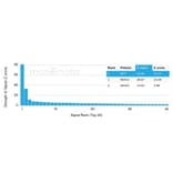 Protein Array - Anti-MiTF Antibody [PCRP-MITF-1D9] - BSA and Azide free (A278298) - Antibodies.com