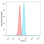 Flow Cytometry - Anti-FOXB2 Antibody [PCRP-FOXB2-2B2] - BSA and Azide free (A278304) - Antibodies.com