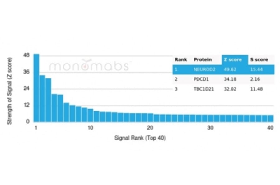 Protein Array - Anti-NeuroD2 Antibody [PCRP-NEUROD2-1G1] - BSA and Azide free (A278311) - Antibodies.com