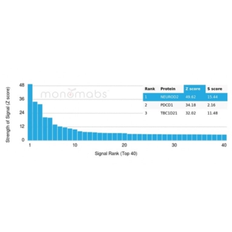 Protein Array - Anti-NeuroD2 Antibody [PCRP-NEUROD2-1G1] - BSA and Azide free (A278311) - Antibodies.com