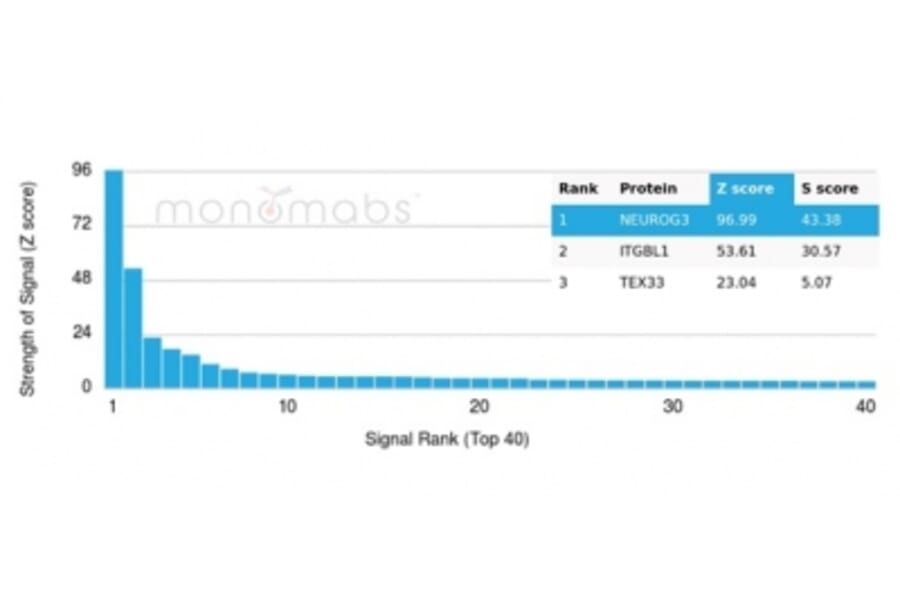 Protein Array - Anti-NeuroG3 Antibody [PCRP-NEUROG3-1E10] - BSA and Azide free (A278318) - Antibodies.com