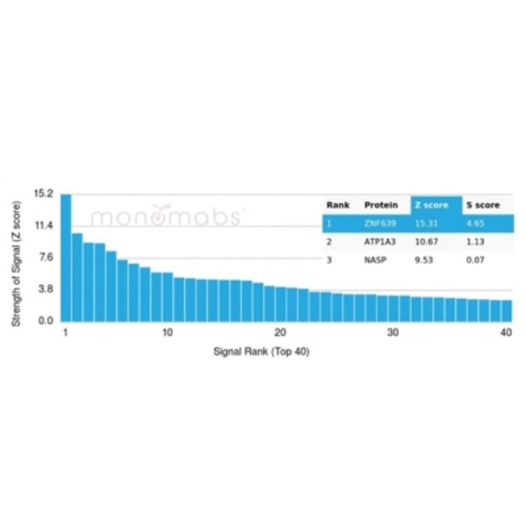 Protein Array - Anti-ZNF639 Antibody [PCRP-ZNF639-2B2] - BSA and Azide free (A278325) - Antibodies.com
