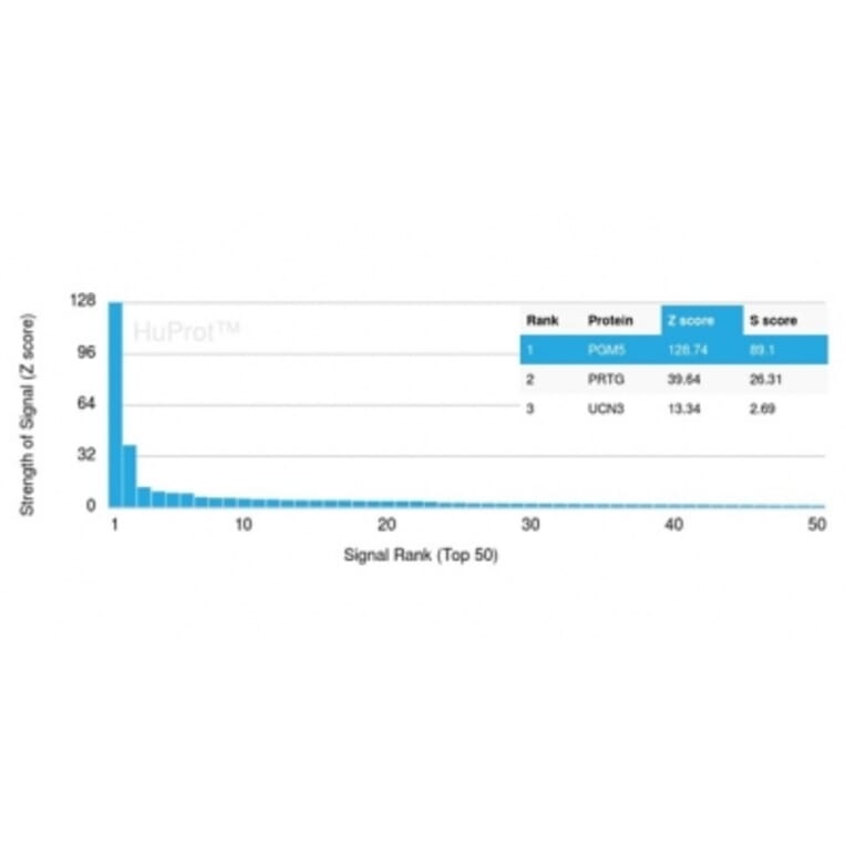 Protein Array - Anti-Phosphoglucomutase 5 Antibody [PGM5/3552] - BSA and Azide free (A278330) - Antibodies.com