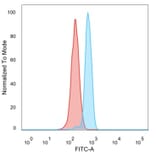 Flow Cytometry - Anti-BCL11A Antibody [PCRP-BCL11A-1G10] - BSA and Azide free (A278338) - Antibodies.com