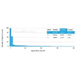 Protein Array - Anti-BCL11A Antibody [PCRP-BCL11A-1G10] - BSA and Azide free (A278338) - Antibodies.com