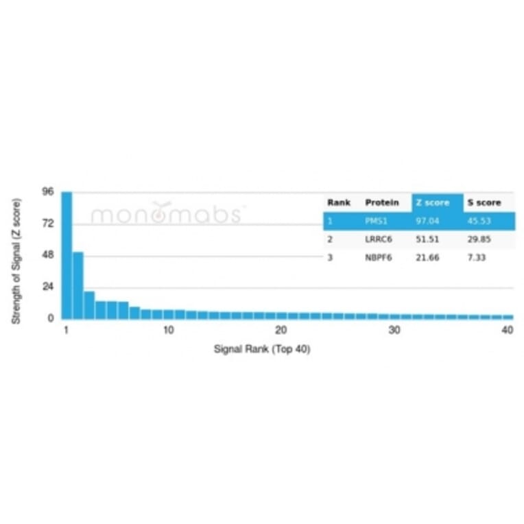 Protein Array - Anti-PMS1 Antibody [PCRP-PMS1-2E11] - BSA and Azide free (A278340) - Antibodies.com