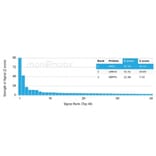 Protein Array - Anti-PMS1 Antibody [PCRP-PMS1-2E11] - BSA and Azide free (A278340) - Antibodies.com