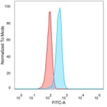Flow Cytometry - Anti-PRMT7 Antibody [PCRP-PRMT7-1A7] - BSA and Azide free (A278344) - Antibodies.com