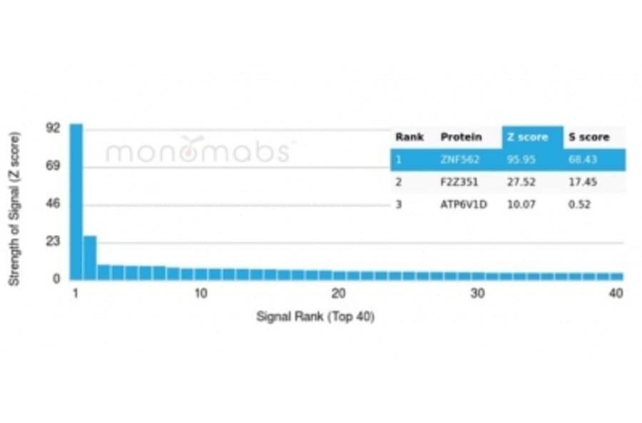 Protein Array - Anti-ZNF562 Antibody [PCRP-ZNF562-1A1] - BSA and Azide free (A278347) - Antibodies.com