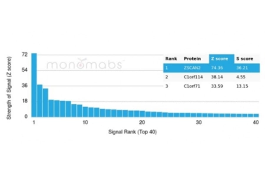 Protein Array - Anti-ZSCAN2 Antibody [PCRP-ZSCAN2-1F8] - BSA and Azide free (A278348) - Antibodies.com